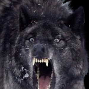 Meet your Posher, Greg